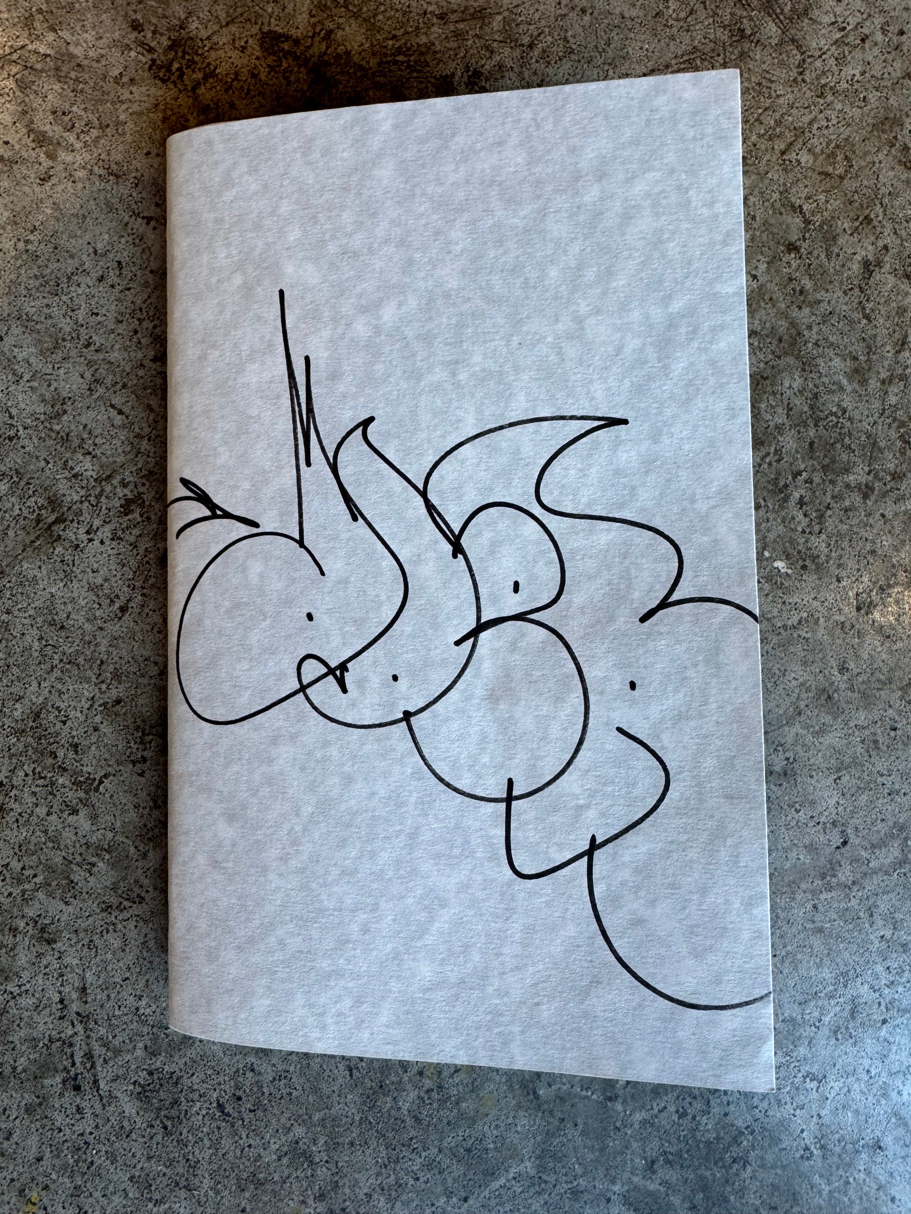 Ader, Mini Zine NYC